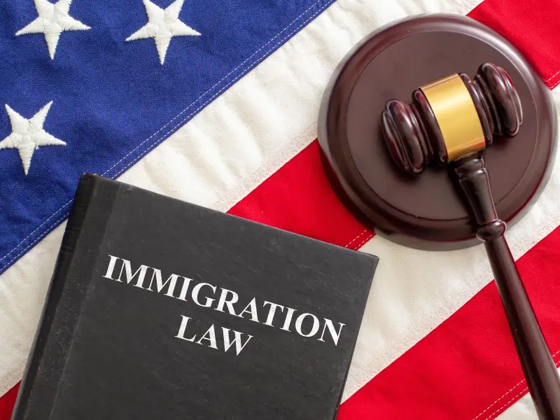Immigration Laws (USA)