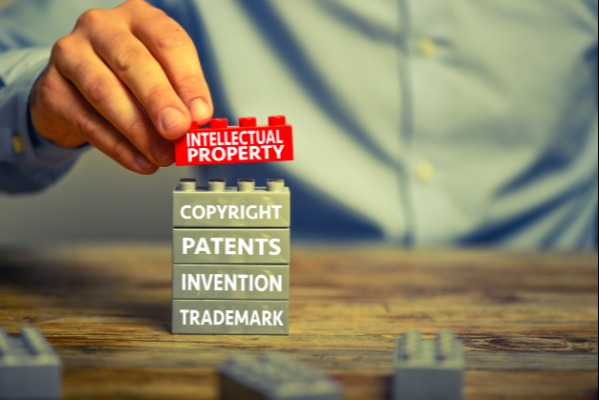 Intellectual Property Laws