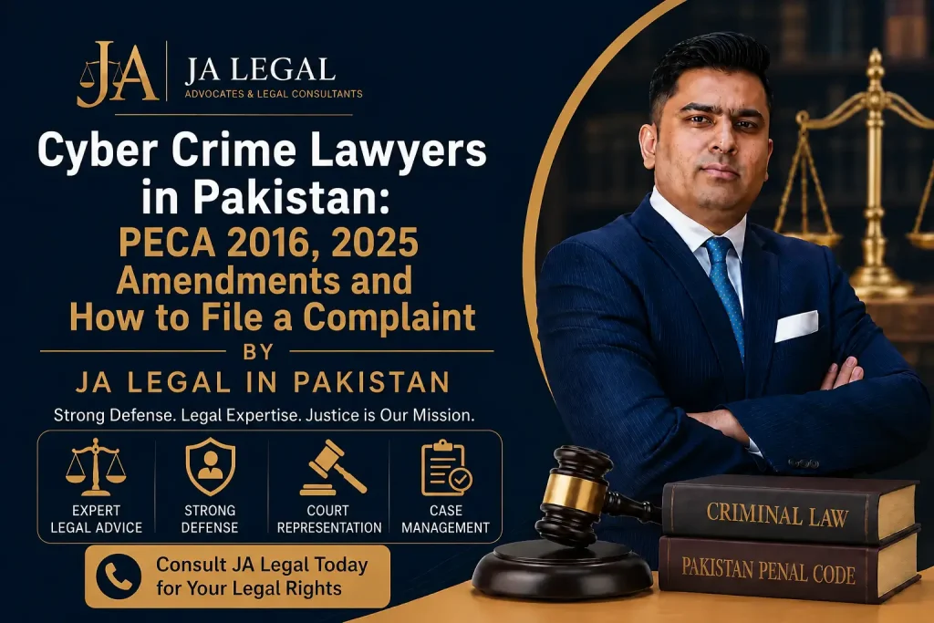 cyber crime lawyers
