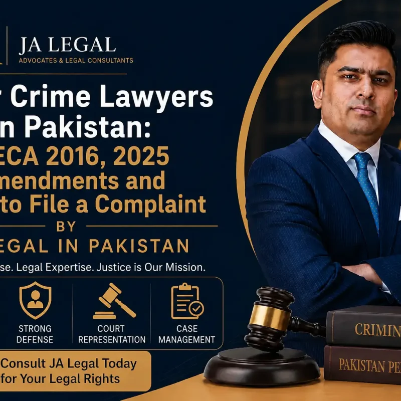 cyber crime lawyers