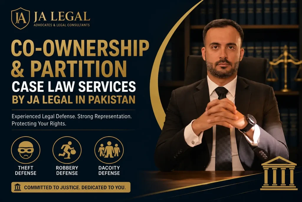 lawyer Co-Ownership & Partition Issues